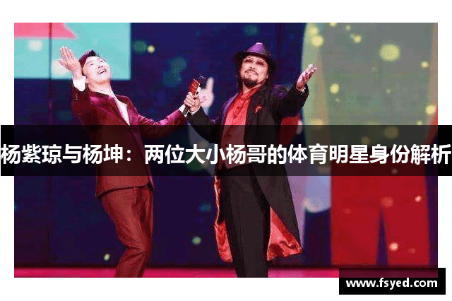 杨紫琼与杨坤：两位大小杨哥的体育明星身份解析