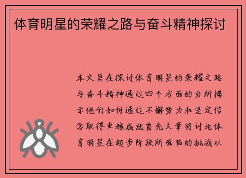 体育明星的荣耀之路与奋斗精神探讨
